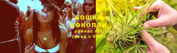 мдпв Козловка
