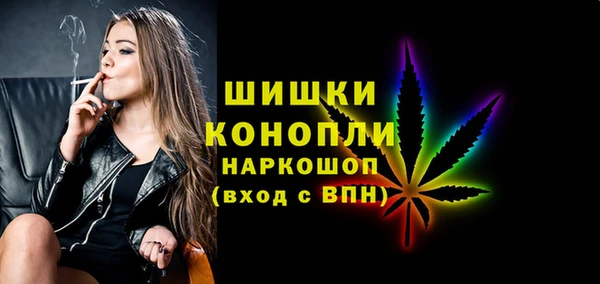 мдпв Козловка
