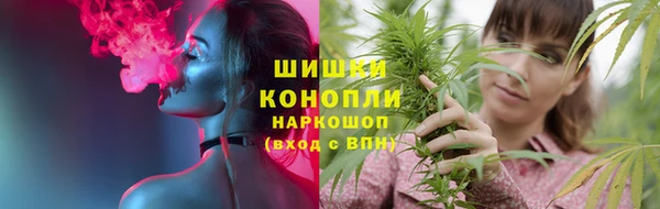 амф Корсаков