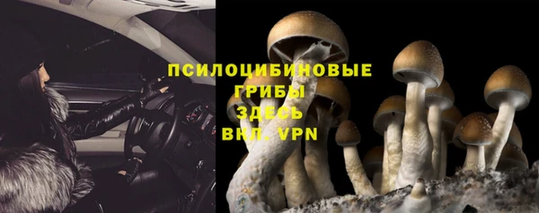 мдпв Козловка