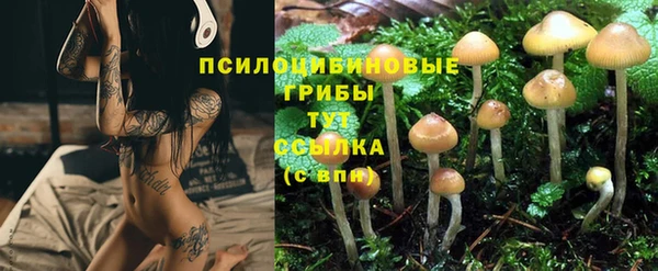 гашишное масло Козельск